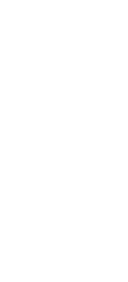 Hotel Puebla de Antaño